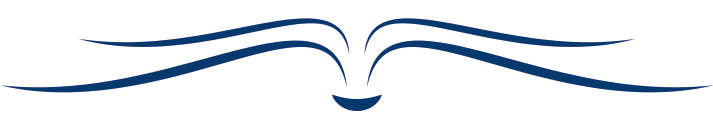 Back End Developer