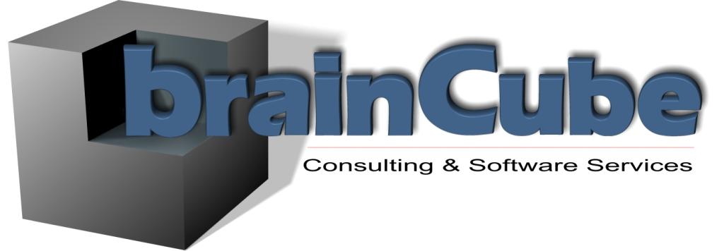 Software Developer